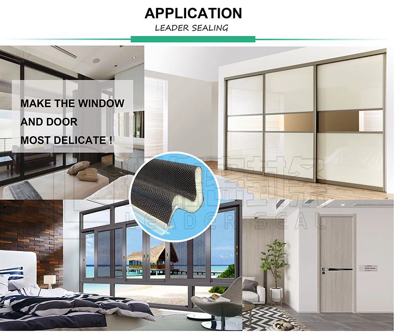 Knowledge Seal Doors And Windows