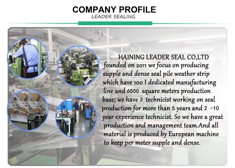 COMPANY PROFILE(1).png COMPANY PROFILE(1).png