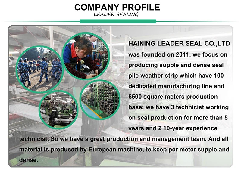 Door weather sealing strip tpv edge seals Company Profile Door weather sealing strip tpv edge seals Company Profile