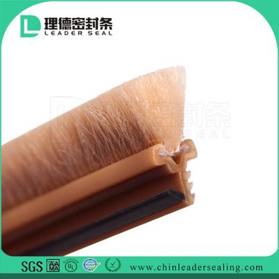 Weather Stripping Window